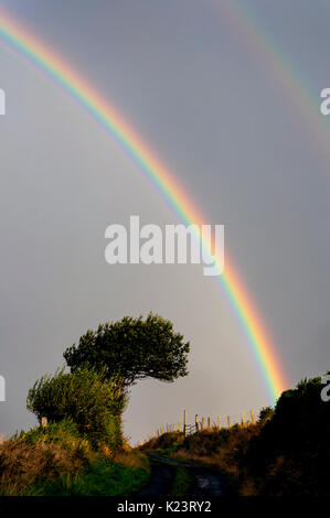 Ardara, County Donegal, Irlanda meteo. Il 30 agosto 2017. Un arcobaleno compare su Irlanda il sedicente "Wild Atlantic modo' dopo la pioggia pesante e alcuni gravi inondazioni nella contea di recente. Credito: Richard Wayman/Alamy Live News Foto Stock