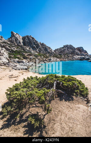 Italia: alcune delle bellezze della Sardegna nella foto durante il periodo estivo Foto Stock