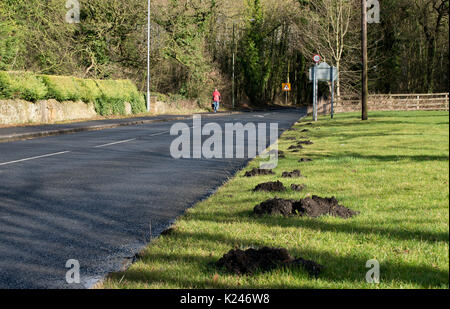 Mole colline dal bordo di una strada principale nella Contea di Durham Foto Stock