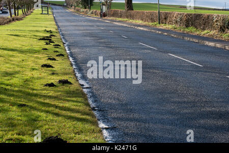 Mole colline lungo l'erba verge di una strada principale con campi da un lato e fermate di autobus in background mostrando il problema che può essere causato Foto Stock