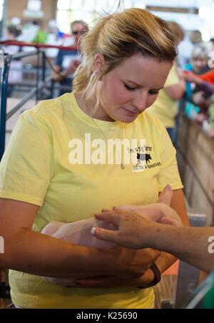 Una femmina di maiale l'agricoltore che detiene un maialino presso la Minnesota State Fair. Foto Stock