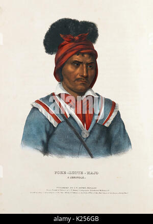 Foke-Luste-Hajo, un Seminole. Foto Stock