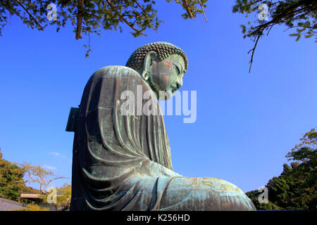 Il grande Buddha di Kamakura al tempio Kotokuin nella città di Kamakura Kanagawa Giappone Foto Stock