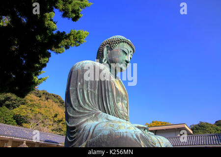 Il grande Buddha di Kamakura al tempio Kotokuin nella città di Kamakura Kanagawa Giappone Foto Stock