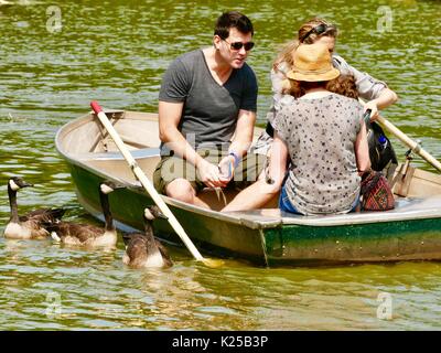 Persone rilassante in una barca a remi su un lago con la fioritura di alghe, mentre tre oche accanto alla barca mendicare il cibo. Il Central Park di New York, NY, STATI UNITI D'AMERICA. Foto Stock