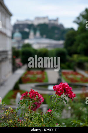 Dai giardini di Mirabell, Mirabellgarten in Salzburg, Austria. Alcune scene dal suono di musica sono stati girati qui. Foto Stock