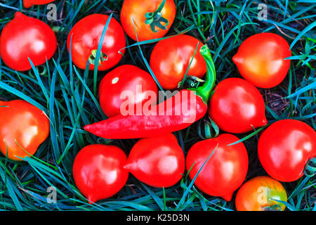 Ancora la vita di pomodori rossi e pepe di masterizzazione Foto Stock