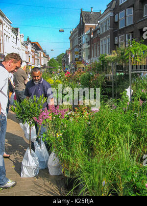 Uomo di acquistare un impianto sul mercato dei fiori annuali il Venerdì Santo a Groningen, Paesi Bassi Foto Stock
