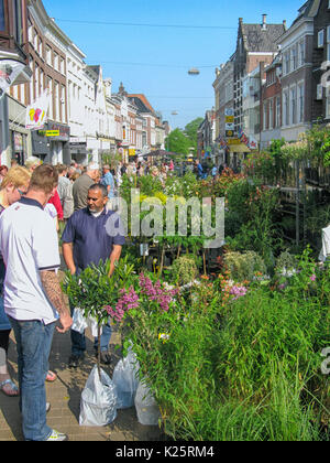 Persone che acquistano i fiori sul mercato dei fiori annuali il Venerdì Santo a Groningen, Paesi Bassi Foto Stock