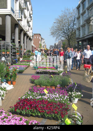 Le persone che ricercano le piante e fiori per la vendita sul mercato dei fiori annuali il Venerdì Santo a Groningen Foto Stock