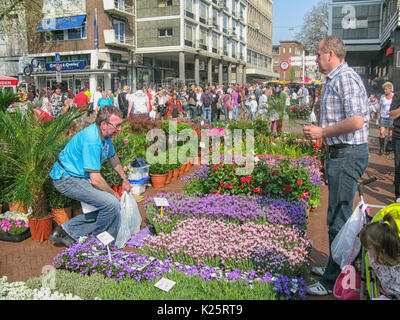 Persone che acquistano i fiori sul mercato dei fiori annuali il Venerdì Santo a Groningen, Paesi Bassi Foto Stock