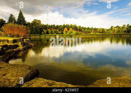 Meravigliosi colori autunnali in un parco Bedgebury vicino a Tunbridge Wells nel Kent, Inghilterra Foto Stock