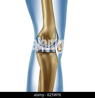 Sostituzione impianto di ginocchio concetto medico come una gamba umana anatomia dopo una chirurgia protesica come un apparato muscoloscheletrico malattia simbolo di trattamento. Foto Stock