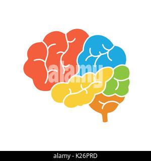 Un diagramma del cervello umano vista laterale, anatomia. Illustrazione Vettoriale nella piana di stile design Illustrazione Vettoriale