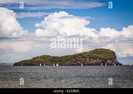 Craigleith island view da North Berwick in Scozia Foto Stock