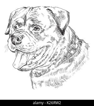 Rottweiler vettore del disegno a mano illustrazione monocromatica isolati su sfondo bianco Illustrazione Vettoriale