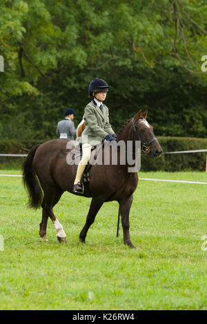 Cavalli e piloti in lizza all annuale Ceiriog Valley Sheep Dog prove in Glyn Ceiriog Galles del Nord Foto Stock