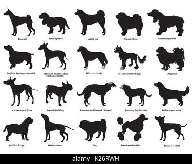 Set di vettore di diverse razze di cani sagome isolati in colore nero su sfondo bianco. Parte 3 Illustrazione Vettoriale