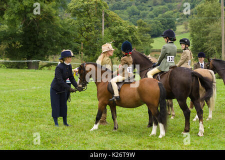 Cavalli e Cavalieri in lizza nella gymkhana all annuale Ceiriog Valley Sheep Dog prove in Glyn Ceiriog Galles del Nord Foto Stock