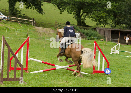 Cavalli e piloti in lizza all annuale Ceiriog Valley Sheep Dog prove in Glyn Ceiriog Galles del Nord Foto Stock