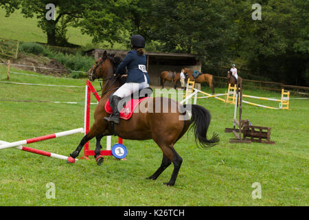 Cavalli e Cavalieri in lizza nella gymkhana all annuale Ceiriog Valley Sheep Dog prove in Glyn Ceiriog Galles del Nord Foto Stock