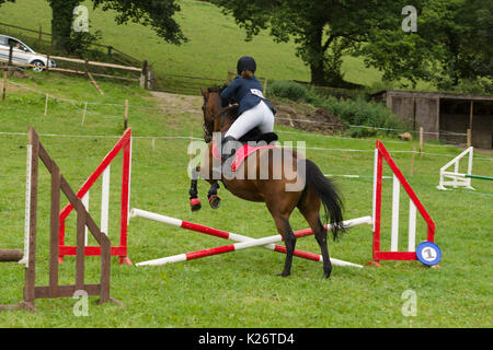 Cavalli e piloti in lizza all annuale Ceiriog Valley Sheep Dog prove in Glyn Ceiriog Galles del Nord Foto Stock