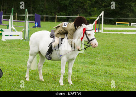 Una giovane ragazza abbraccia il suo pony dopo aver vinto il primo posto a cavalli e cavalieri evento presso l annuale Ceiriog Valley Sheep Dog prove in Galles del Nord Foto Stock