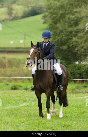 Giovane pilota e il suo cavallo in gara nel gymkhana a. Il processo annuale per cani da pecora della valle di Ceiriog a Glyn Ceiriog Galles del Nord Foto Stock