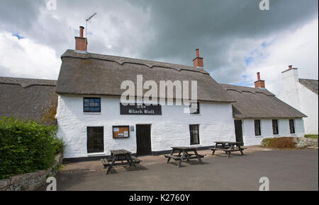 Pub inglese tradizionale, il toro nero, con pareti dipinte di bianco e tetti in paglia nel villaggio inglese di metalli, Northumberland. Foto Stock