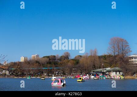 Swan barche a remi a Shinobazu Pond presso il parco Ueno, Tokyo, Giappone Foto Stock