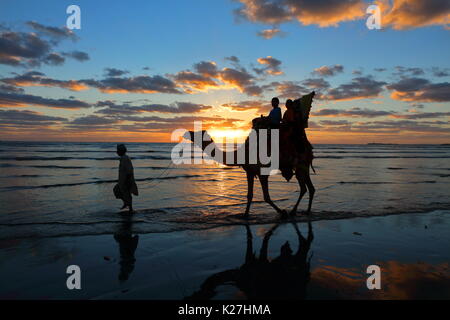 I bambini sono a cavallo sul cammello presso la Clifton Beach Karachi Foto Stock