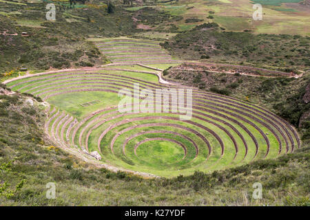 Moray agricoli sito archeologico di Cusco Peru. Più grande delle tre terrazze circolari Foto Stock