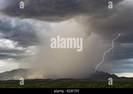 Drammatico temporale monsonico con forti piogge e fulmini sulle montagne Rincon vicino Tucson, Arizona Foto Stock