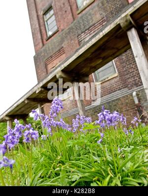 Acquedotto Barton ponte prendendo la Bridgewater Canal oltre il Manchester Ship Canal Foto Stock