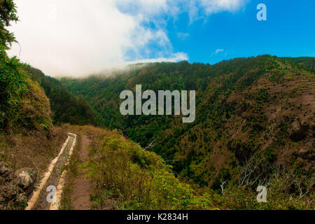 Uno splendido scenario dell'isola di Madeira mentre facendo una camminata di levada. Un'escursione che vi permette di prendere la più splendida natura fotografia Foto Stock