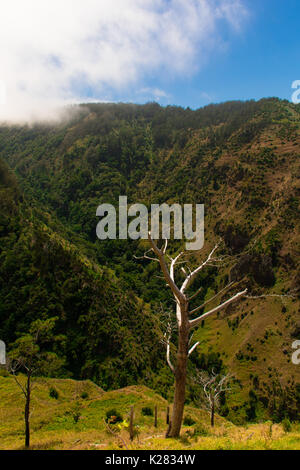 Uno splendido scenario dell'isola di Madeira mentre facendo una camminata di levada. Un'escursione che vi permette di prendere la più splendida natura fotografia Foto Stock