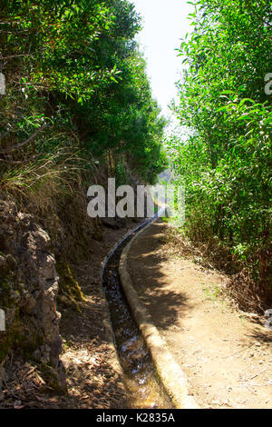 Uno splendido scenario dell'isola di Madeira mentre facendo una camminata di levada. Un'escursione che vi permette di prendere la più splendida natura fotografia Foto Stock