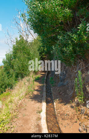 Uno splendido scenario dell'isola di Madeira mentre facendo una camminata di levada. Un'escursione che vi permette di prendere la più splendida natura fotografia Foto Stock