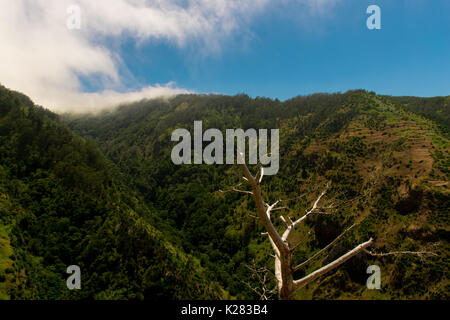 Uno splendido scenario dell'isola di Madeira mentre facendo una camminata di levada. Un'escursione che vi permette di prendere la più splendida natura fotografia Foto Stock