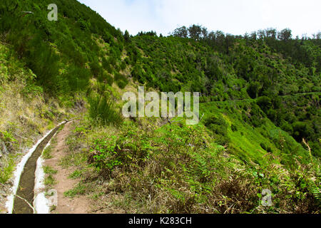 Uno splendido scenario dell'isola di Madeira mentre facendo una camminata di levada. Un'escursione che vi permette di prendere la più splendida natura fotografia Foto Stock