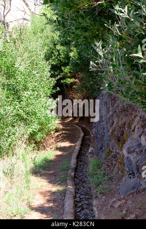 Uno splendido scenario dell'isola di Madeira mentre facendo una camminata di levada. Un'escursione che vi permette di prendere la più splendida natura fotografia Foto Stock