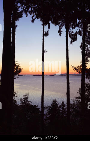 Cielo di tramonto sull'oceano paesaggio naturale visualizzare tramite gli alti alberi di cedro incorniciata dai rami. Stretto di Georgia, Salish mare oceano Pacifico in Nanaimo, va Foto Stock