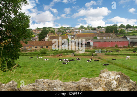 Allevamento di Bestiame Frisone giacente in pascolo di smeraldo nei pressi di edifici da cortile su Dairy Farm sotto il cielo blu di Castleton, Dorset, Inghilterra Foto Stock