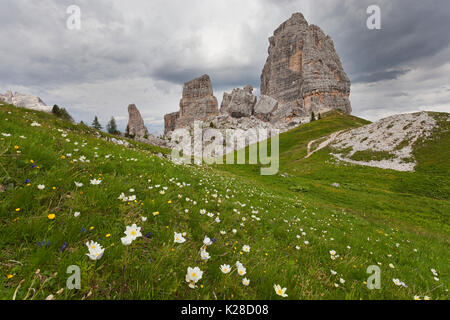 Cinque Torri, Ampezzo Dolomiti, Cortina d'Ampezzo, Belluno, Veneto, Italia. Foto Stock