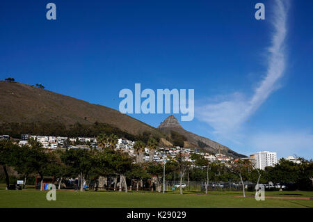 Punto verde parco urbano e biodiversità Giardino con testa di leone in background e para-alianti in cielo , Cape Town, Sud Africa. Foto Stock