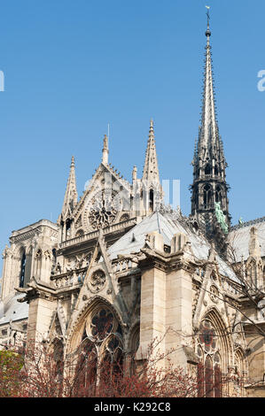 La cattedrale di Notre Dame di Parigi dettaglio dai giardini Foto Stock