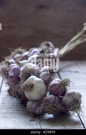 La spiralina di aglio sul legno sfondo rustico Foto Stock