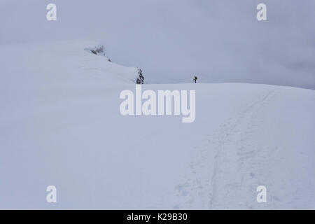 Montaggio Cernera, Dolomiti, San Vito di Cadore, Belluno, Veneto, Italia. Foto Stock