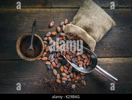 Organici di cacao in polvere in un recipiente e le fave di cacao nel convogliatore Foto Stock