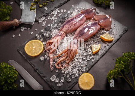 Crudo fresco calamari con ghiaccio tritato sul nero ardesia Foto Stock